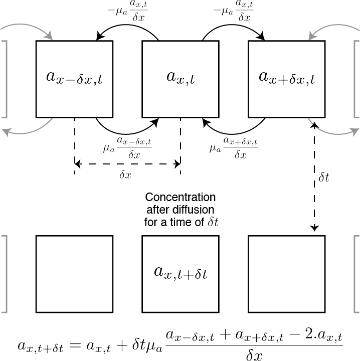 Diffusion